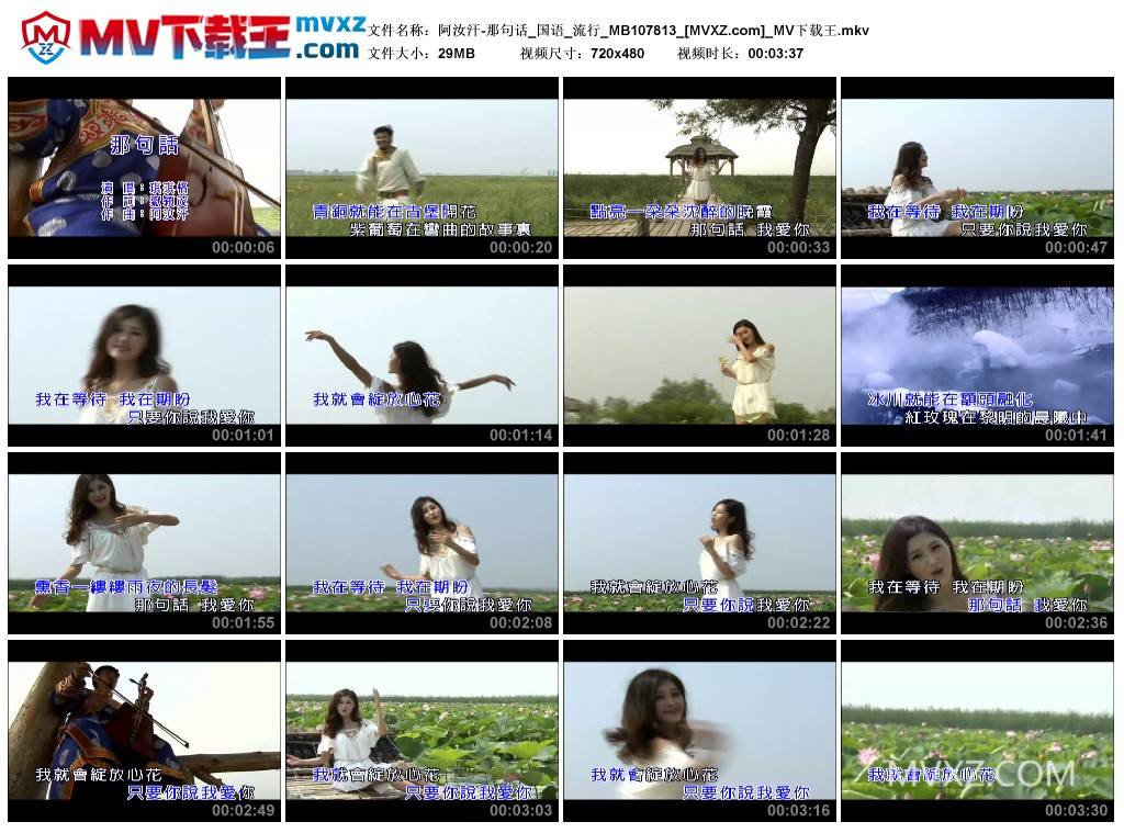 阿汝汗-那句话_国语_流行_MB107813